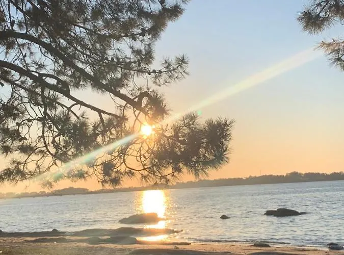 Daire Atico Vilanova *