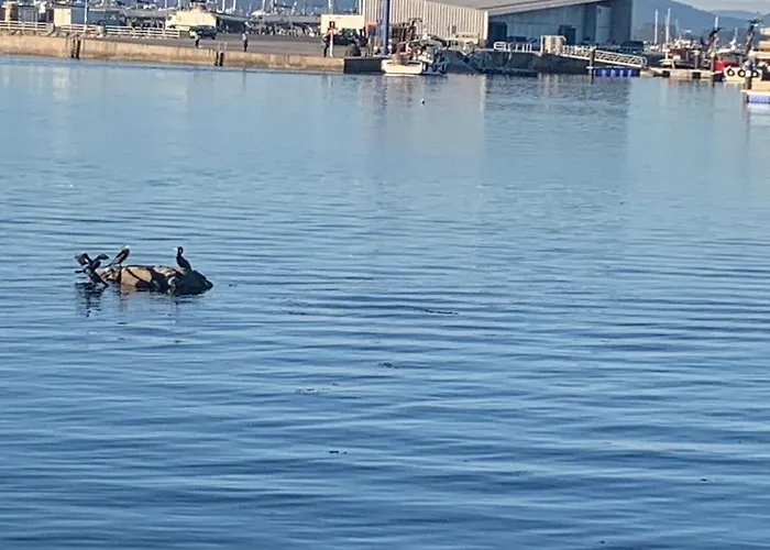 Daire Atico Vilanova Villanueva De Arosa