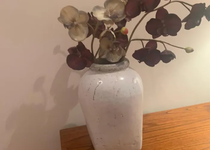 Atico Vilanova Daire